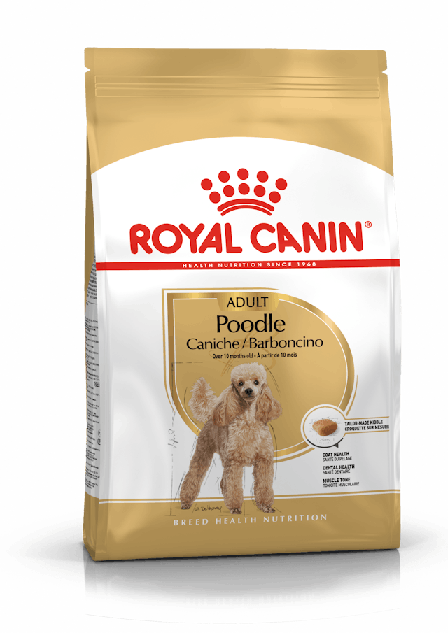 Royal Canin Poodle Adult Yetişkin Köpek Maması 3 Kg
