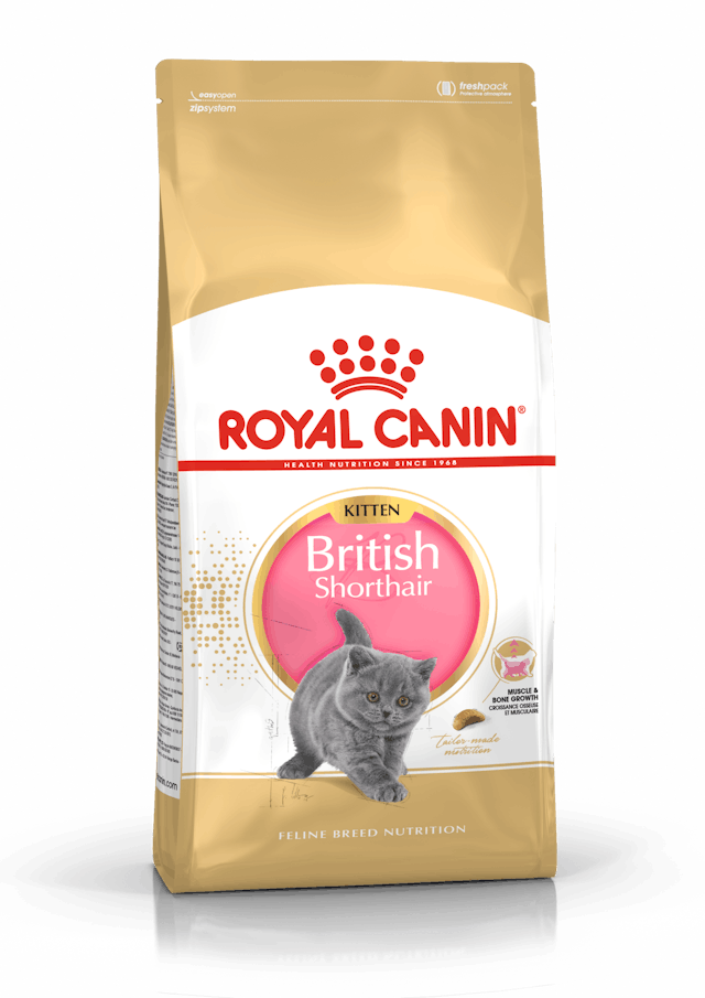 Royal Canin Kitten British Shorthair 2 kg Yavru Kuru Kedi Maması