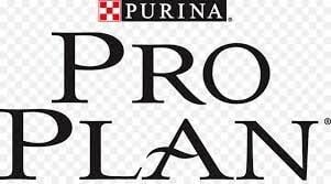 Pro Plan