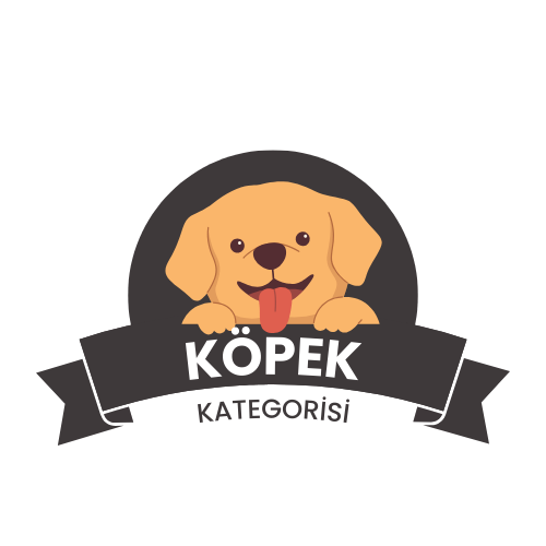 Köpek