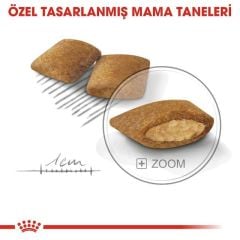 Royal Canin Exigent Savour Sensation 35/30 2 kg Yetişkin Kuru Kedi Maması