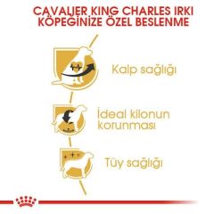 Royal Canin Cavalier King Charles 27 3 kg Yetişkin Köpek Maması