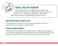Royal Canin Mini Adult 2 kg Küçük Irk Yetişkin Köpek Maması