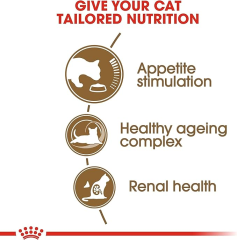 Royal Canin Ageing +12 2 kg Yaşlı Kedi Maması