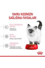 Royal Canin Kitten 4 kg Yavru Kedi Maması