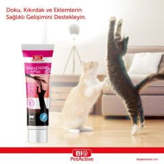 Glucochond Plus Jel Kediler Için Kemik Sağlığı 100 ml