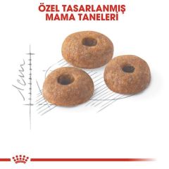 Royal Canin Fit 32 Yetişkin Kedi Maması 400 gr