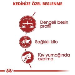 Royal Canin Fit 32 Yetişkin Kedi Maması 400 gr