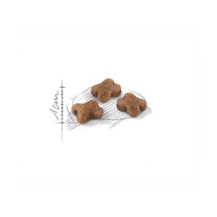 Royal Canin Kitten Yavru Kedi Maması 2 kg