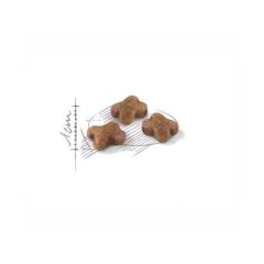 Royal Canin Kitten Yavru Kedi Maması 2 kg