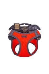 Havalı Dokuma Reflektör Küçük Irk Köpek Göğüs Tasması Xsmall Turuncu 30-34 Cm - Petshopundan