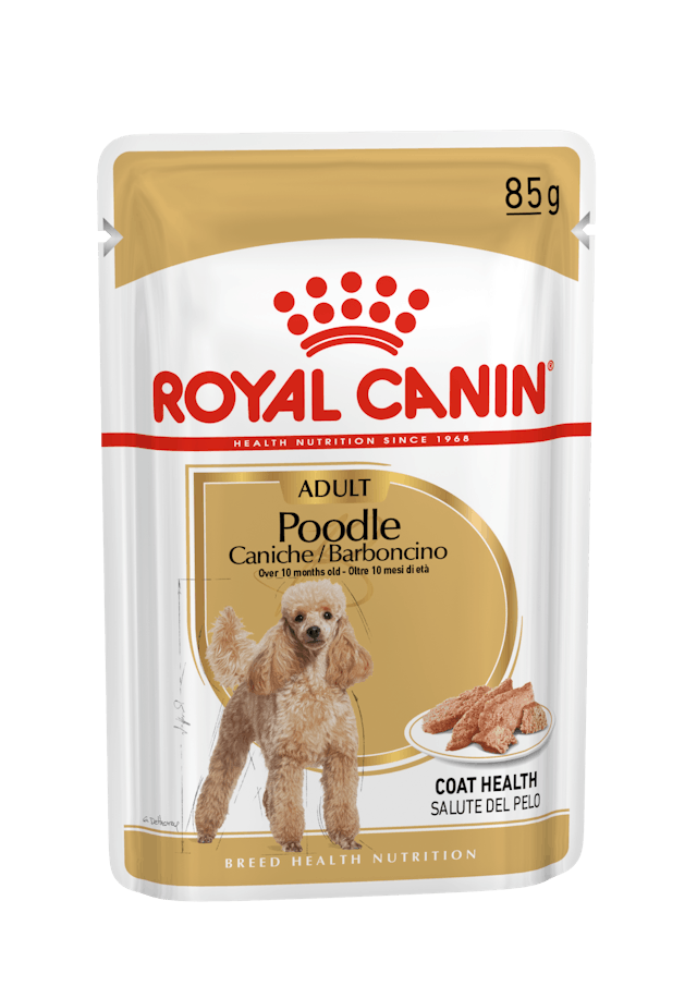 Royal Canin Poodle Adult Pouch Konserve Köpek Maması 12 Adet | Kargola Gelsin