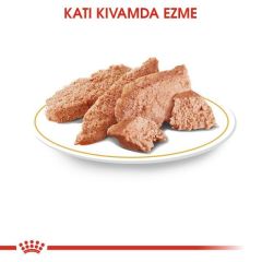 Royal Canin Poodle Adult Pouch Konserve Köpek Maması 12 Adet | Kargola Gelsin