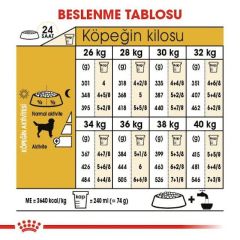 Royal Canin Labrador Retriever Yetişkin Köpek Maması 12 Kg
