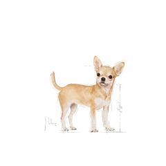Royal Canin Chihuahua 85 gr Yetişkin Köpek Yaş Maması