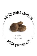 Happy Dog Sensible Mini Neuseeland Kuzu Etli Köpek Maması 4 Kg