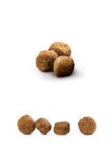 Happy Dog Fit & Vital Mini Adult 4 Kg