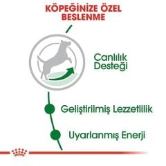 Royal Canin Mini Adult 8+ Küçük Irk Yaşlı Köpek Maması 2kg