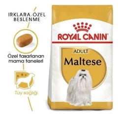 Royal Canin Maltese Terrier Adult Yetişkin Köpek Maması 1,5 kg