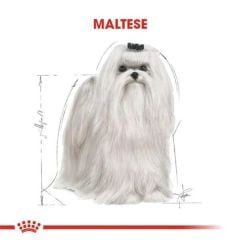 Royal Canin Maltese Terrier Adult Yetişkin Köpek Maması 1,5 kg