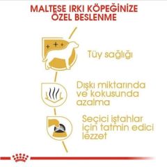 Royal Canin Adult Maltese Terrier 1.5 kg Özel Irk Yetişkin Köpek Maması