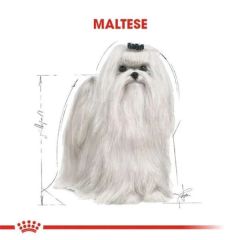 Royal Canin Adult Maltese Terrier 1.5 kg Özel Irk Yetişkin Köpek Maması