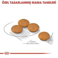Royal Canin Mini Dermacomfort Küçük Irk 3 kg Yetişkin Kuru Köpek Maması