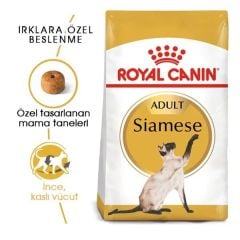 Royal Canin Siamese 38 2 kg Yetişkin Kuru Kedi Maması