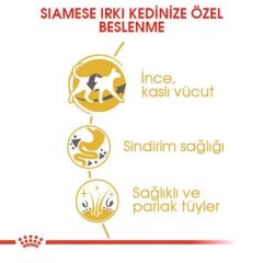 Royal Canin Siamese 38 2 kg Yetişkin Kuru Kedi Maması