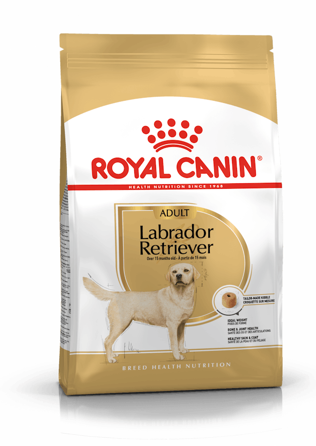 Royal Canin Labrador Retriever Irka Özel 12 kg Yetişkin Köpek Maması