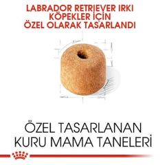 Royal Canin Labrador Retriever Irka Özel 12 kg Yetişkin Köpek Maması