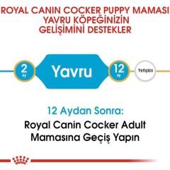 Royal Canin Cocker Junior Yavru Köpek Maması 3 Kg