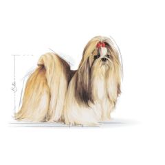 Royal Canin Shihtzu Adult Yetişkin Köpek Maması 1.5 Kg