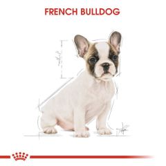 Royal Canin French Bulldog Junior Yavru Köpek Maması 3 Kg