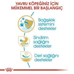 Royal Canin French Bulldog Junior Yavru Köpek Maması 3 Kg