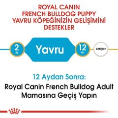 Royal Canin French Bulldog Junior Yavru Köpek Maması 3 Kg