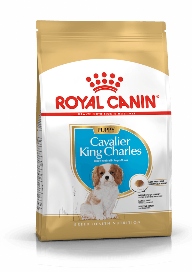 Royal Canin Cavalier King Charles Junior Yavru Köpek Maması 1.5 Kg