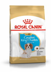 Royal Canin Cavalier King Charles Junior Yavru Köpek Maması 1.5 Kg