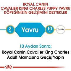 Royal Canin Cavalier King Charles Junior Yavru Köpek Maması 1.5 Kg