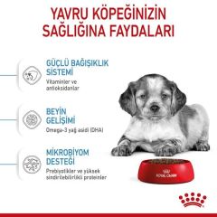Royal Canin Medium Puppy Yavru Köpek Maması 4 Kg
