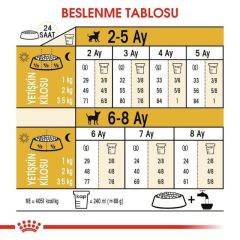 Royal Canin Chihuahua Junior Yavru Köpek Maması 1,5 Kg