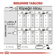 Royal Canin Mini Sterilised Yetişkin Kısırlaştırılmış Köpek Maması 3 Kg