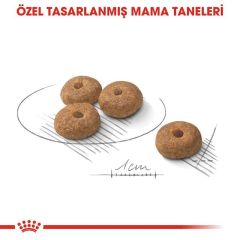 Royal Canin Mini Sterilised Yetişkin Kısırlaştırılmış Köpek Maması 3 Kg