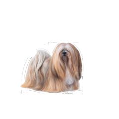 Royal Canin Mini Exigent Adult Yetişkin Köpek Maması 3 Kg