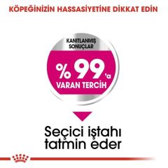 Royal Canin Mini Exigent Adult Yetişkin Köpek Maması 3 Kg