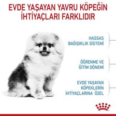 Royal Canin Mini İndoor Puppy Yavru Köpek Maması 1.5 Kg