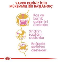 Royal Canin Kitten British Shorthair 2 kg Yavru Kuru Kedi Maması