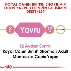 Royal Canin Kitten British Shorthair 2 kg Yavru Kuru Kedi Maması