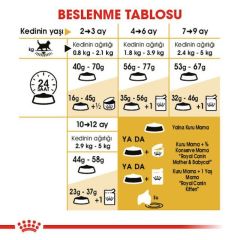 Royal Canin Kitten British Shorthair 2 kg Yavru Kuru Kedi Maması