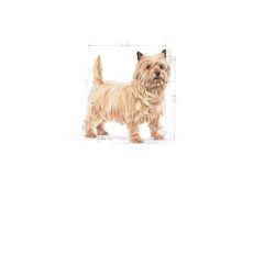 Royal Canin Mini Light Care Diyet Yetişkin Köpek Maması 3 Kg